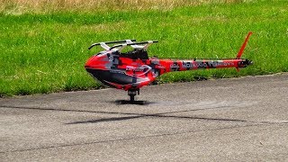 TAREQ ALSAADI GOBLIN KRAKEN 3D RC HELICOPTER SWISS HELI CHALLENGE 2019 [upl. by Gnouhk]