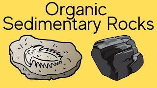 Organic Sedimentary Rocks [upl. by Borek]