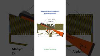 Fluxgate Sensörler flux manyetik sensor shorts [upl. by Aserehc]