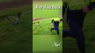 Fear of the Duck tavernmusic fearofthedark ironmaiden bardcore [upl. by Nahtnoj]