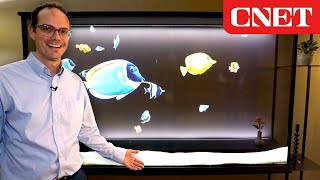 LG Transparent OLED Turns From TV Into Animated Art [upl. by Alekal741]