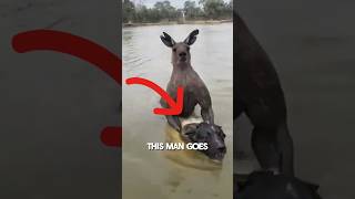 Dog Saved from Kangaroo Attack viral [upl. by Nomi569]