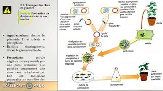 SEBiotechnologieTransgenèse chez les végétaux et les animaux [upl. by Harrington]