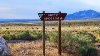 Are The Dugway Geode Beds Worth The Hype [upl. by Garrett831]