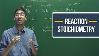 11C01  Some basic concepts of Chemistry  Reaction Chemistry  IIT JEE  Class 11 [upl. by Atnomed]