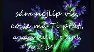 Nedvědi  Všechno nejlepší lyrics [upl. by Doak95]