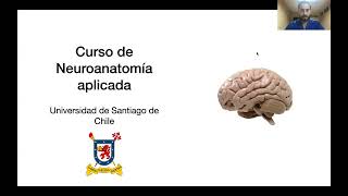 CLASE 12 SAFE ENTRY ZONES TO THE BRAINSTEM [upl. by Christel]