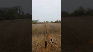 Cotswold countryside 🍃❄️ cotswoldvillages walk countryside countrywalk aggriculture farming [upl. by Airom101]