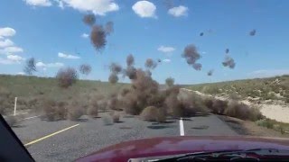 Tumbleweed Dust Devil [upl. by Phelps]