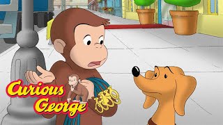 A Special Mission 🐵 Curious George 🐵 Kids Cartoon 🐵 Kids Movies [upl. by Raquel237]