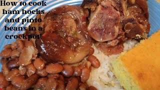 HOW TO COOK HAM HOCKS AND PINTO BEANS IN A CROCK POT [upl. by Morly]