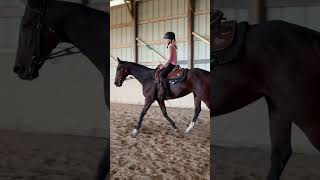 ‘Horse riding is easy’ listen to the sound then￼ [upl. by Genna]