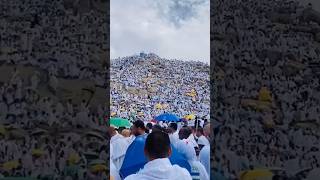 Arafat day  Live hajj 2024 makkah hajj sauduarabia shorts [upl. by Jerad534]