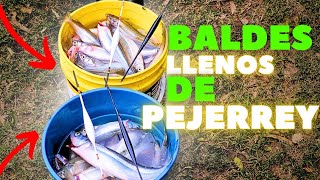 PEJERREY LAGO SAN ROQUE  PEJERREY 2024  Buen Pique PESCA [upl. by Arehahs]