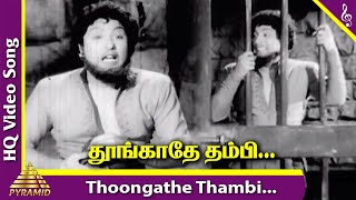 Thoongathe Thambi Video Song  Nadodi Mannan Movie Songs  MGR  Saroja Devi  Bhanumathi  Nambiar [upl. by Latvina]