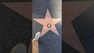 Reflections on Fame and the Hollywood Walk of Fame 🌟1 [upl. by Naillik]