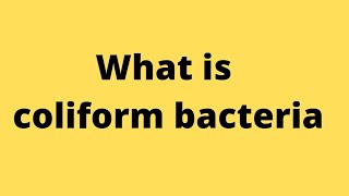 coliform bacteria क्या हैcoliform bacteriacoliform bacteria in Hindicoliform bacteria in water [upl. by Bondie]