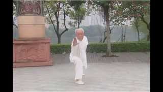 Cheng Style Baguazhang  64 Palms 程氏八卦掌  六十四掌 [upl. by Loma]