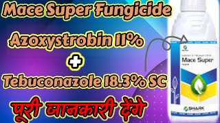 Mace Super Fungicide Azoxystrobin 11 Tebuconazole 183 SC Full Details 👈😱🇮🇳👍🙏 [upl. by Eneryt]