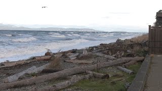 QUALICUM BEACH WAVES [upl. by Sivatnod]