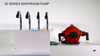 SEAFLO 52 Series Diaphragm Pump [upl. by Conlon310]