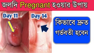 জলদি Pregnant হওয়ার উপায়  কিভাবে দ্রুত গর্ভবতী হবেন How To Get Pregnant Fast Naturally Bangla [upl. by Venterea]