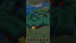 Minecraft Watermelon river meme [upl. by Adimra]