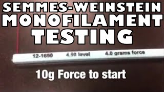 How to Perform the Semmes Weinstein Monofilament Test  Ohio University  Anatomy [upl. by Yrkcaz]