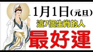 元旦開始，最好運的7個生肖，數錢數到手抽筋，天天樂呵呵  星座生肖 [upl. by Atims336]