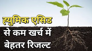 Humic Acid से भी कम खर्च💰में जडो का विकास कैसे करे [upl. by Bowler]