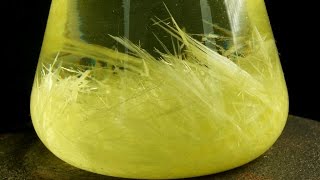 Growing Beautiful yellow Crystals of Sulfur Cool Chemical Experiment [upl. by Danice400]