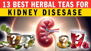 13 Best Herbal Teas for Kidney Disease [upl. by Moshell]