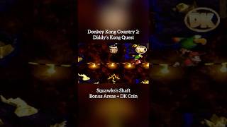 Squawks’s Shaft  Bonus Areas  DK Coin part 2 DKC DonkeyKong DKC2 DKC3 DK64 SNES [upl. by Aloibaf]