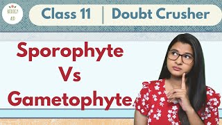 Sporophyte Vs Gametophyte  CLASS 11  Doubt Crusher [upl. by Rekab]