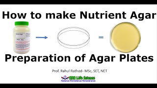 Preparation of nutrient agar plates l How to make agar plate [upl. by Caraviello]