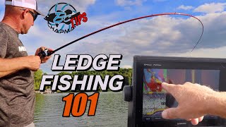 Late Summer Ledge fishing For Bass  Fishing Tips To Find Bass Offshore [upl. by Warenne694]