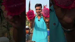 Dragon Fruit cutting shorts farming minivlog aftabvlog shortvideo agriculture aftabshaikh [upl. by Chadd]