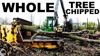 525 HP WOOD CHIPPER  SHREDS 26quot WHOLE TREES AT ONCE [upl. by Nauqyt]