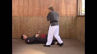 Tracy Kenpo Karate 3rd Brown Belt Raking the Ground [upl. by Soni102]