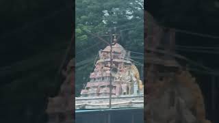 Madurai champakulam mariamman Temple [upl. by Nagoh]