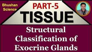 Part 5  Tissue Level of Organization  Structural Classification  Exocrine Glands Hindi BPharm [upl. by Dole]