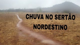 CHUVA NO SERTÃO NORDESTINO [upl. by Nuncia927]