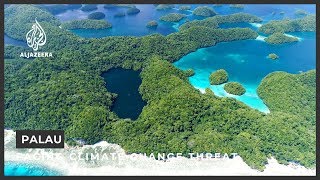 Palau corals ‘may hold answer’ to facing climate change threat [upl. by Radloff]