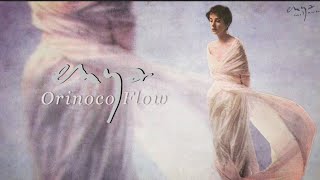 Enya  Orinoco Flow Lyric Video [upl. by Rehm66]