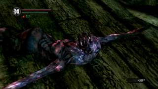 Dark Souls 1 all lore part 11 Chaos Witch Quelaag [upl. by Cilo887]