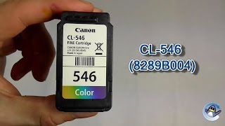 How to Refill Canon CL546 8289B004 Colour Ink Cartridge [upl. by Rochemont584]