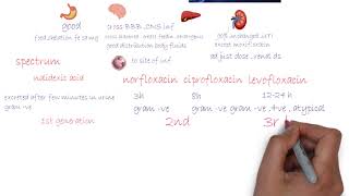 Fluoroquinolones  Antibiotics شرح [upl. by Mailiw]