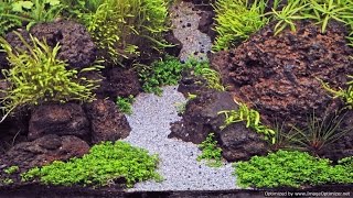 Choosing Aquarium Substrate Using Dirt in Planted Aquariums [upl. by Nixon843]