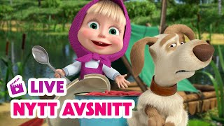 🔴 LIVE Masha och Björnen 🐻👧 NYTT AVSNITT 🍝 Pasta La Vista 🎣 Masha and The Bear [upl. by Eugenio]