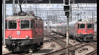 Zürich Hauptbahnhof  SBB CFF FFS Re 420 430  Re 44 II III BoBo  Zugbewegungen August 2023 [upl. by Ahcire]